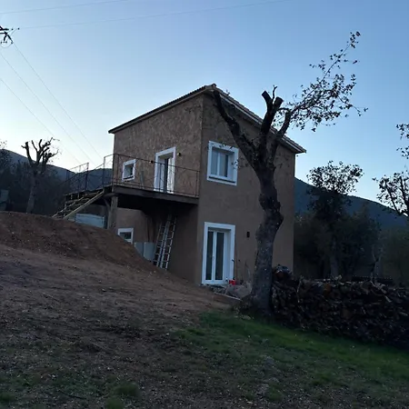Colonna * Moltifao